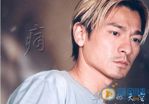 刘德华写真 刘德华写真