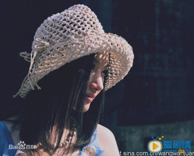王婉娟写真 王婉娟写真