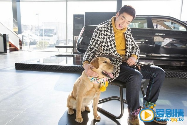 神犬小七艾亮剧照 神犬小七艾亮剧照
