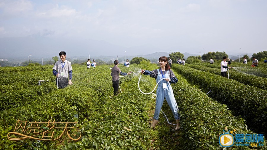 闪亮茗天杜心羽剧照 