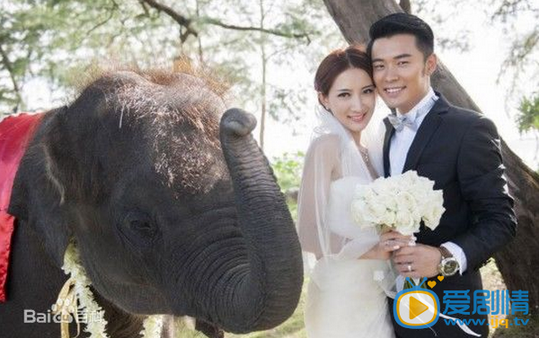 陈赫婚纱照 和前妻甜蜜结婚照