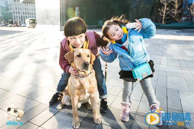 神犬小七乐乐剧照 神犬小七乐乐剧照