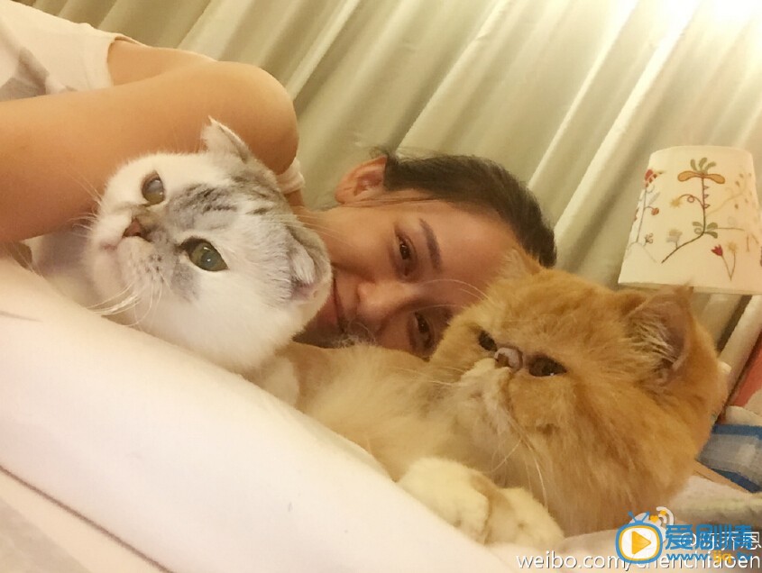 陈乔恩生活照 陈乔恩高清写真_陈乔恩高清剧照