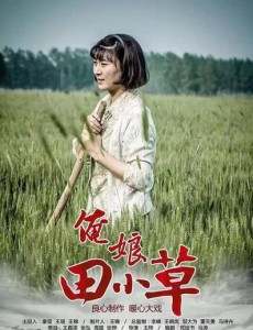俺娘田小草将播 图解闫学晶版田小草苦命一生的遭遇