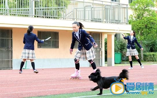 爸爸是条龙王乐乐剧照 