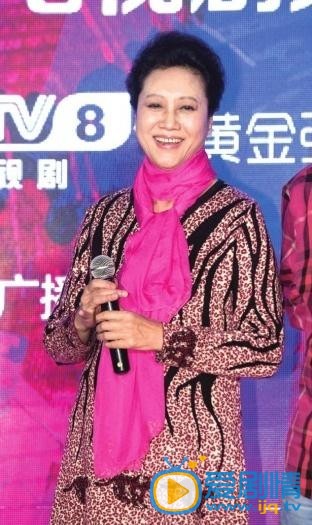 王丽云节目照 王丽云高清写真_王丽云高清剧照