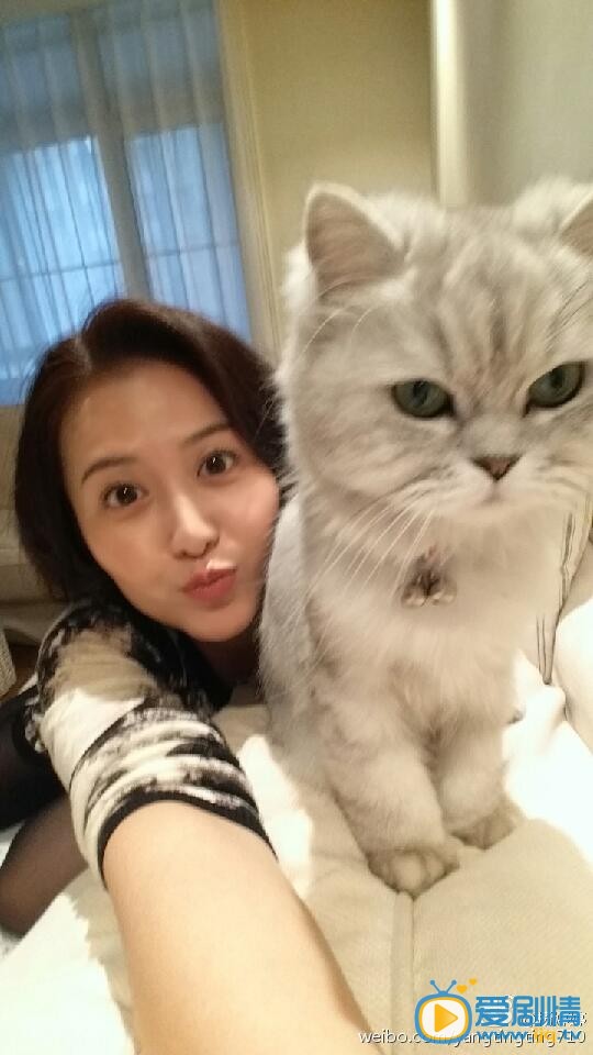 杨婷婷卖萌照 杨婷婷高清写真_杨婷婷高清剧照