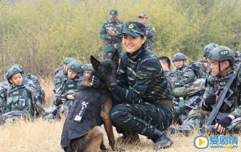 特种兵之霹雳火石磊剧照 
