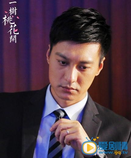 一树桃花开盛誉剧照 