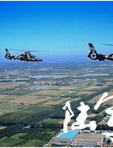 《陆军一号》姜海试飞高难动作“筋斗”成功了吗？中国武直十都做过哪些高难动作？