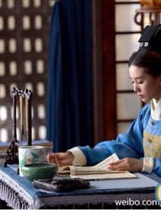 电视剧《女医明妃传》是小说改编的吗？历史上有谈允贤这个人吗？