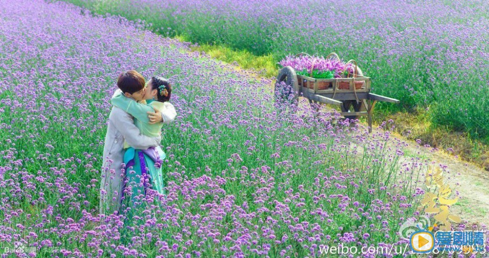 李溪芮《活色生香》剧照 李溪芮高清写真_李溪芮高清剧照