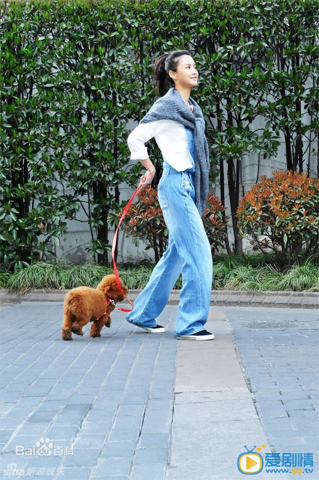 张歆艺生活照 张歆艺高清写真_张歆艺高清剧照