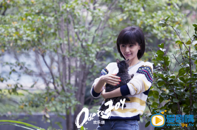 王子文欢乐颂剧照 王子文高清写真_王子文高清剧照
