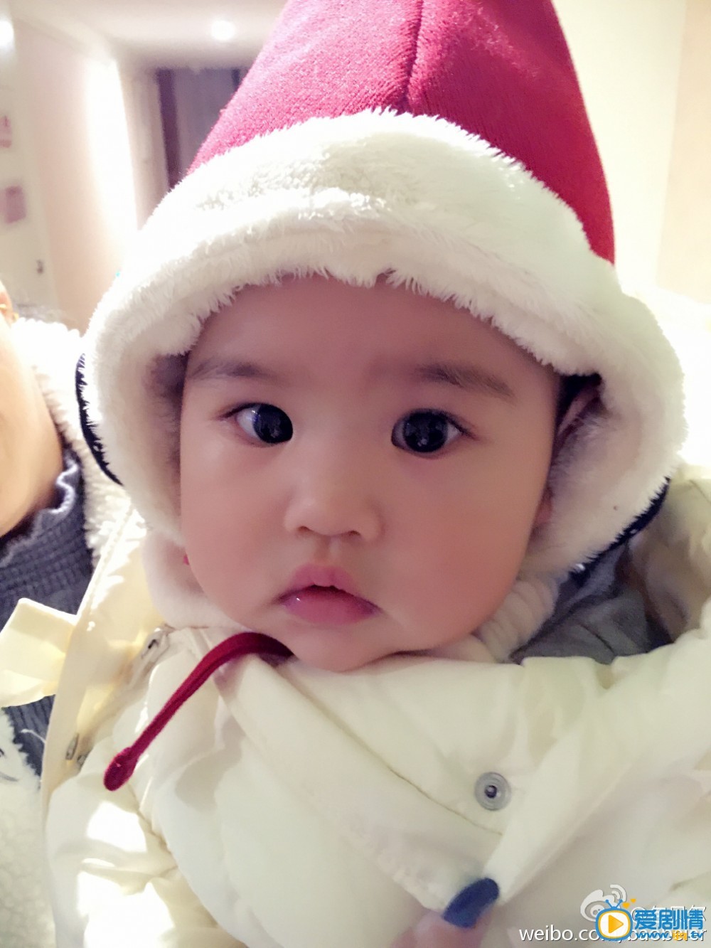 包贝尔包贝尔女儿照 包贝尔高清写真_包贝尔高清剧照