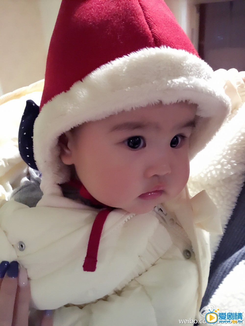 包贝尔包贝尔女儿照 包贝尔高清写真_包贝尔高清剧照