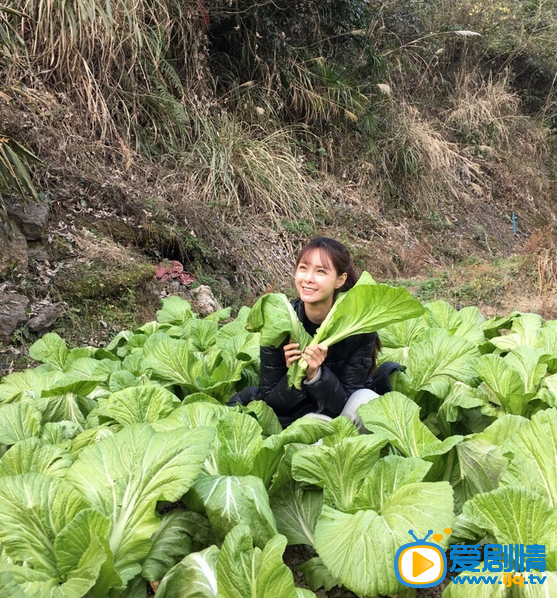 沈梦辰生活照 沈梦辰高清写真_沈梦辰高清剧照