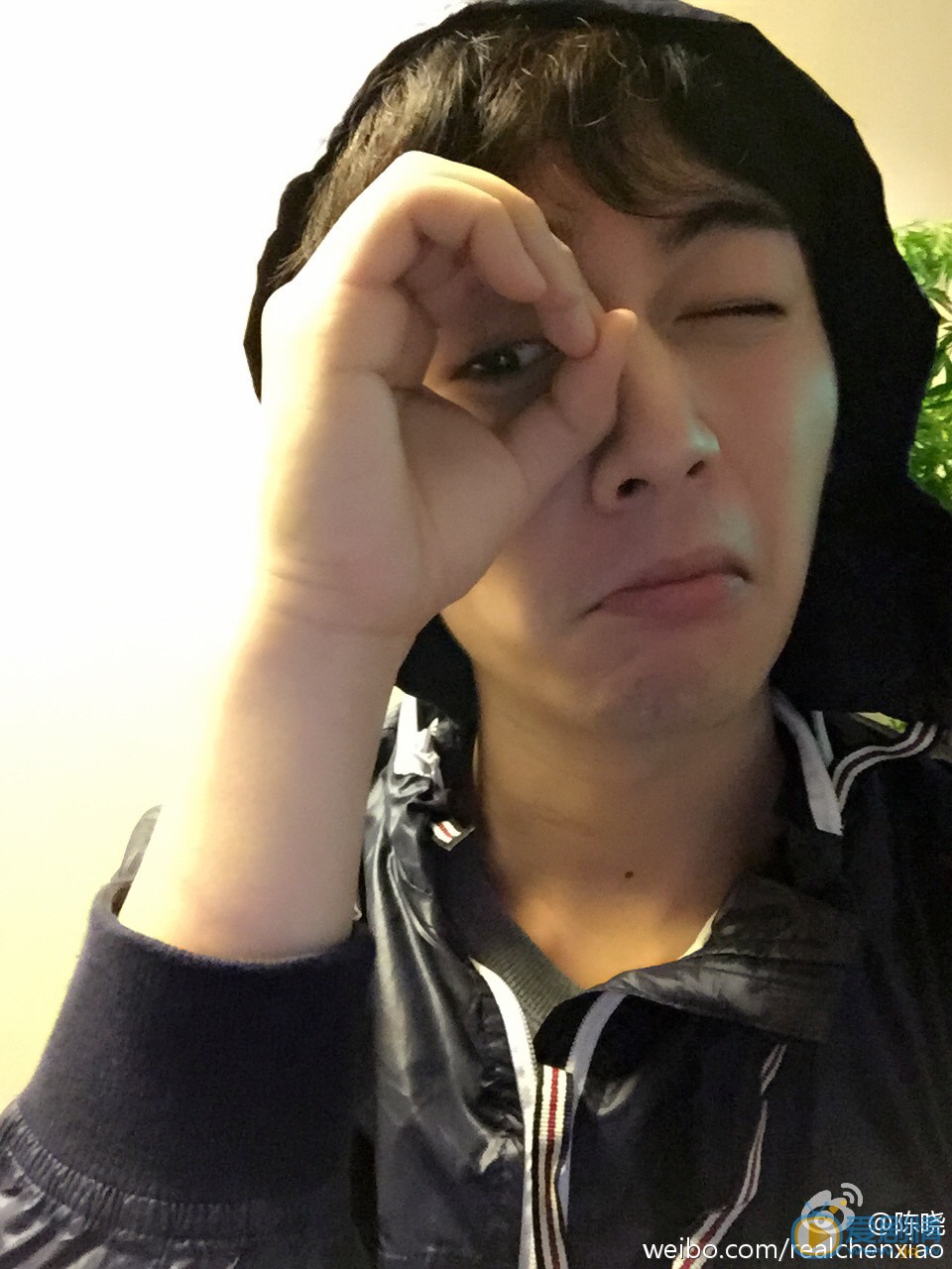 陈晓表情包 陈晓高清写真_陈晓高清剧照