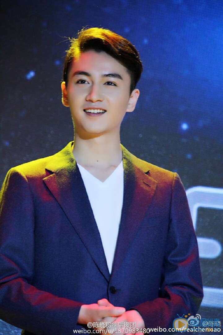 陈晓活动照 陈晓高清写真_陈晓高清剧照