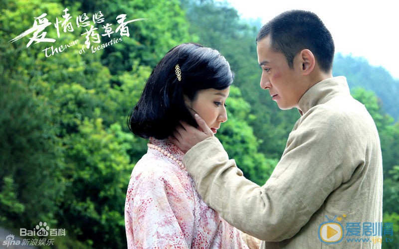 韩栋《爱情悠悠药草香》剧照 韩栋高清写真_韩栋高清剧照
