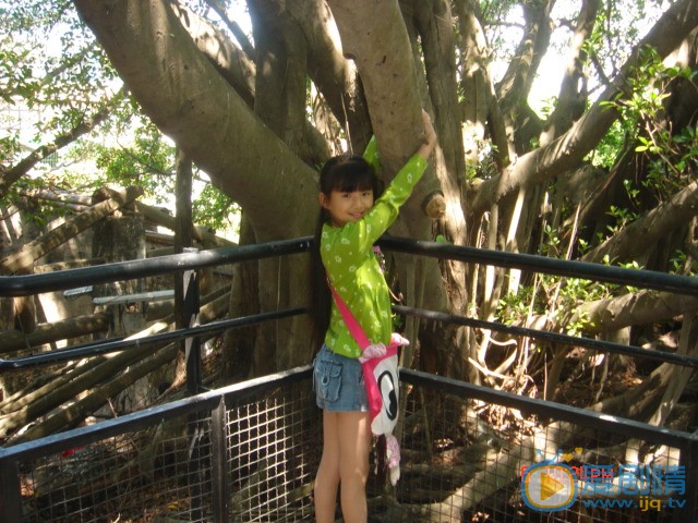 小彩旗小时候照片 小彩旗高清写真_小彩旗高清剧照