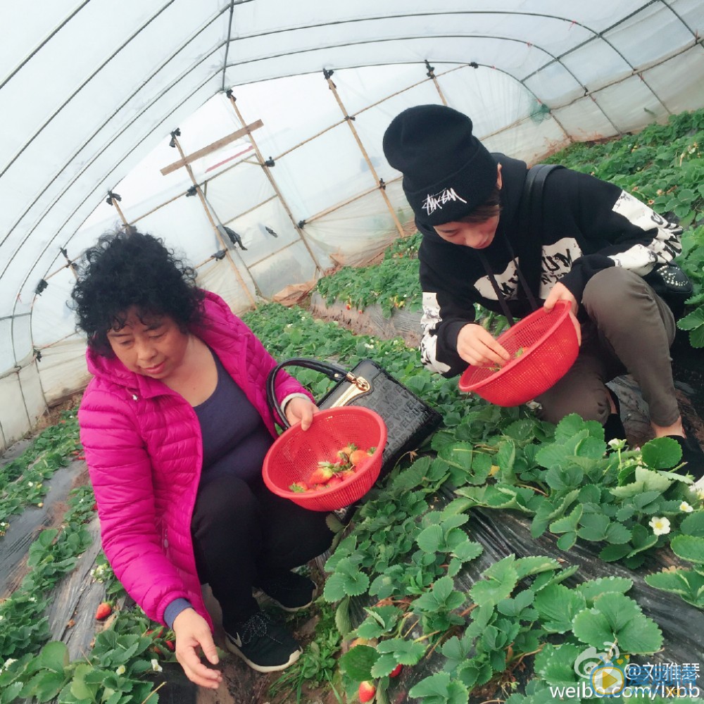 刘雅瑟与家人合照 刘雅瑟高清写真_刘雅瑟高清剧照