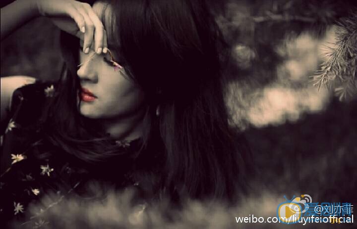 刘亦菲魅惑写真 刘亦菲高清写真_刘亦菲高清剧照