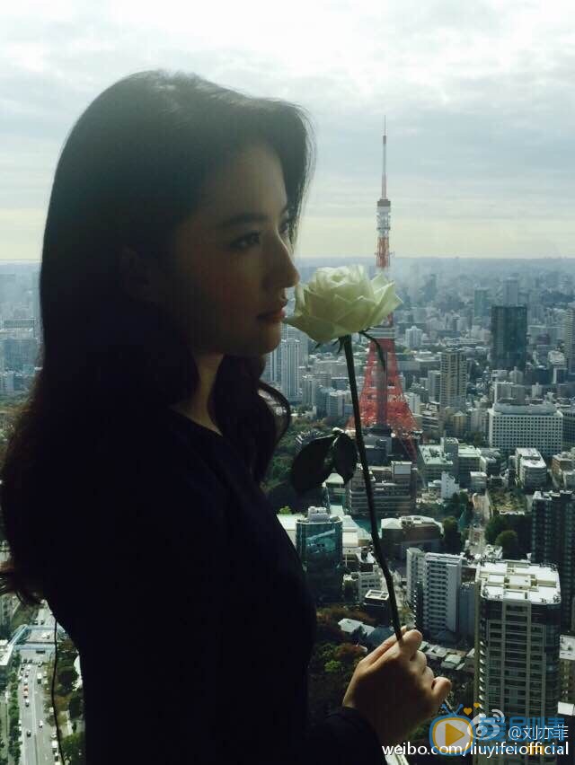 刘亦菲生活自拍照 刘亦菲高清写真_刘亦菲高清剧照
