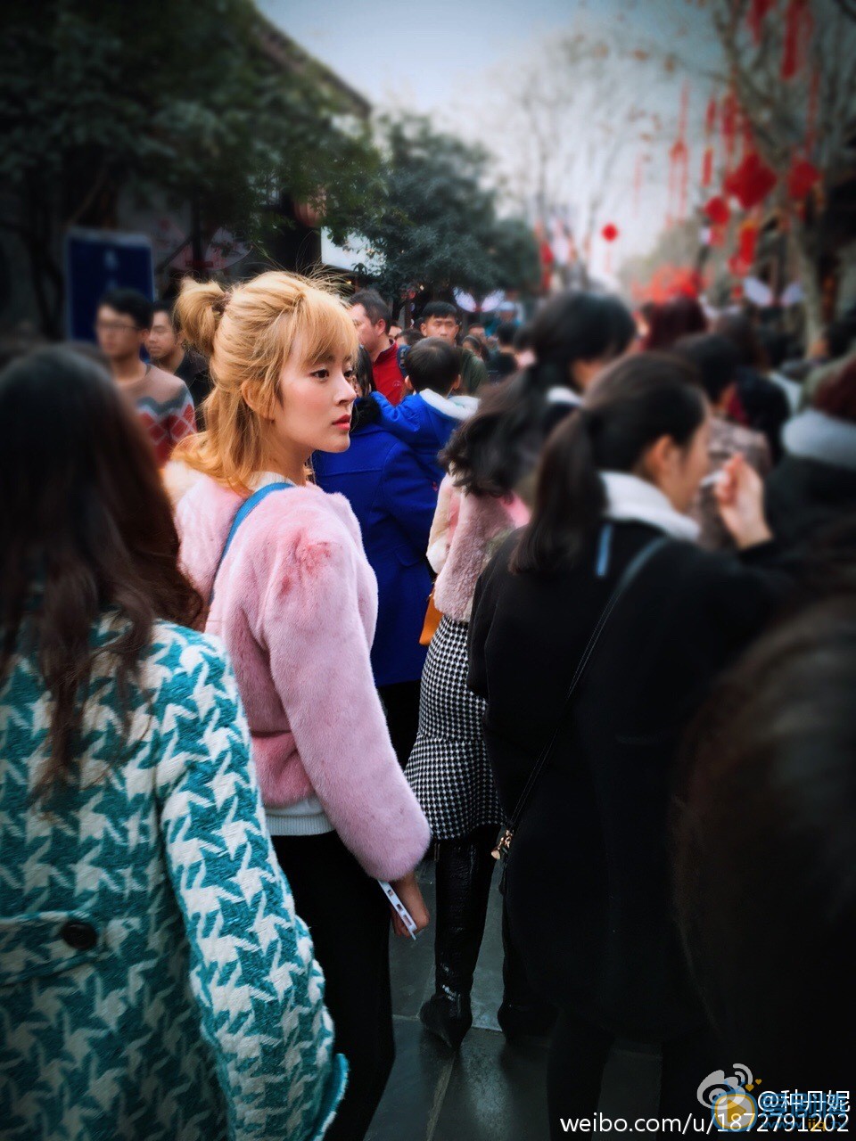 种丹妮丸子头造型 种丹妮高清写真_种丹妮高清剧照