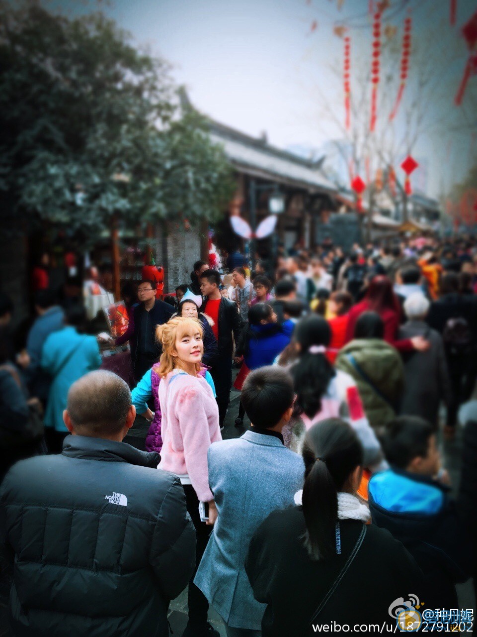 种丹妮丸子头造型 种丹妮高清写真_种丹妮高清剧照