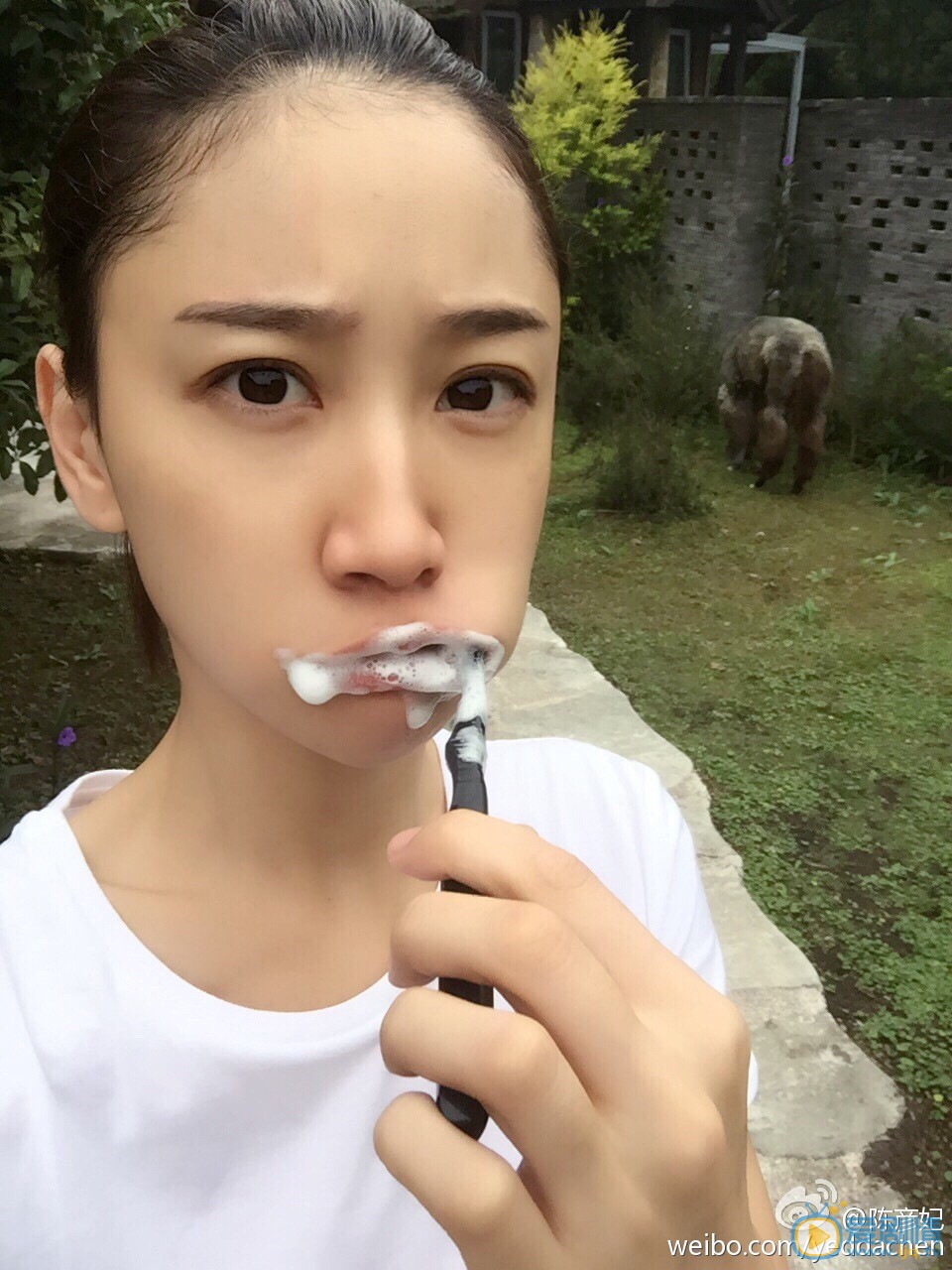 陈彦妃生活照片 陈彦妃高清写真_陈彦妃高清剧照
