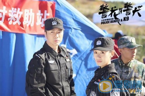 金美伶警花与警犬剧照 金美伶高清写真_金美伶高清剧照