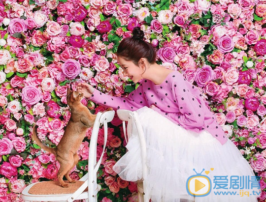 谭松韵宠物世界写真 谭松韵高清写真_谭松韵高清剧照
