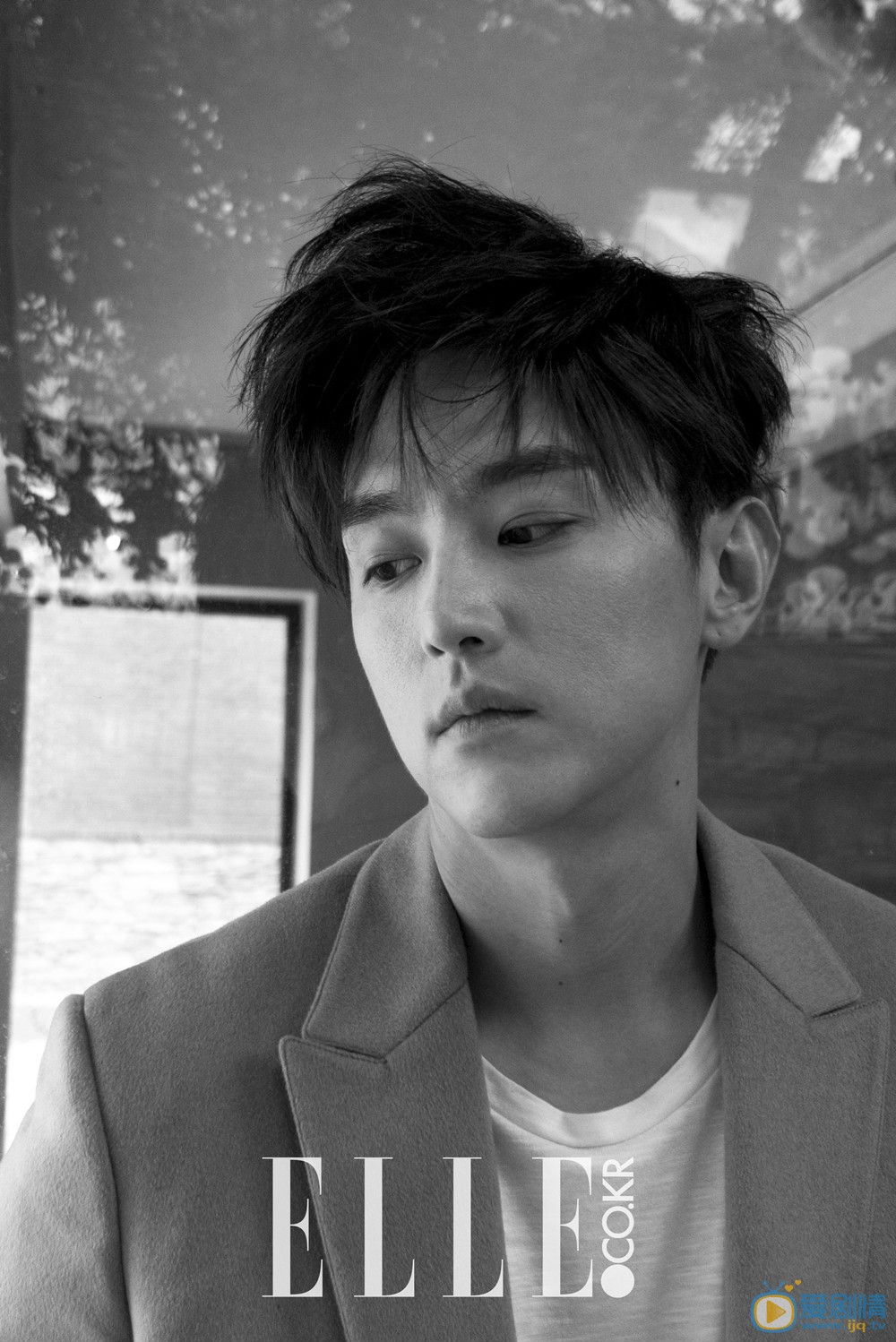 权律写真 权律高清写真_权律高清剧照