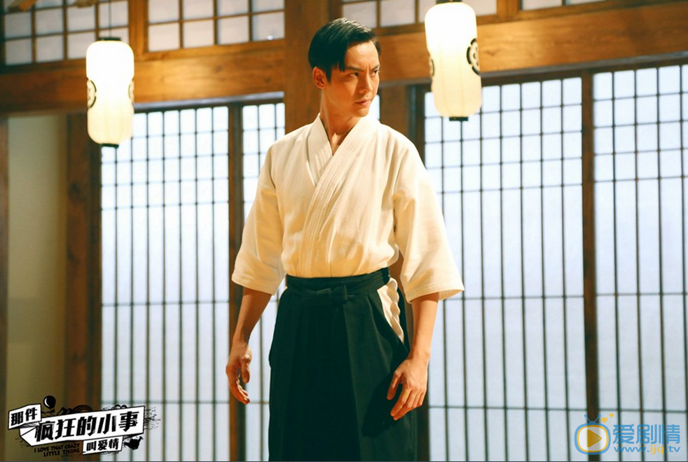 那件疯狂的小事叫爱情剧情介绍
