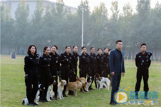 黄梦莹《警花与警犬》剧照 黄梦莹高清写真_黄梦莹高清剧照