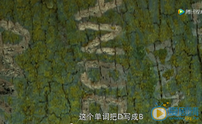 怒江之战剧照