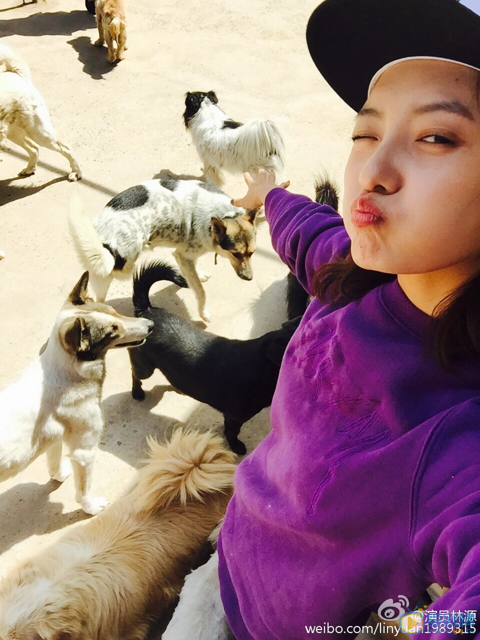 林源微博自拍 林源高清写真_林源高清剧照