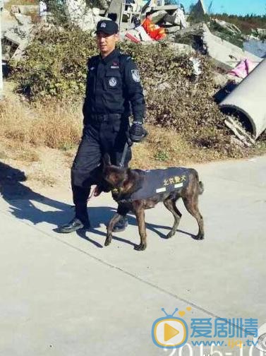 刘金龙片场照 刘金龙高清写真_刘金龙高清剧照