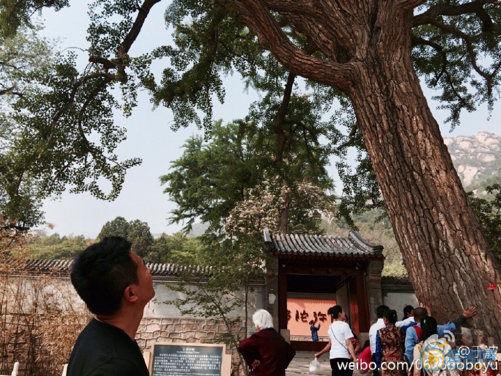 于波旅行照 于波高清写真_于波高清剧照