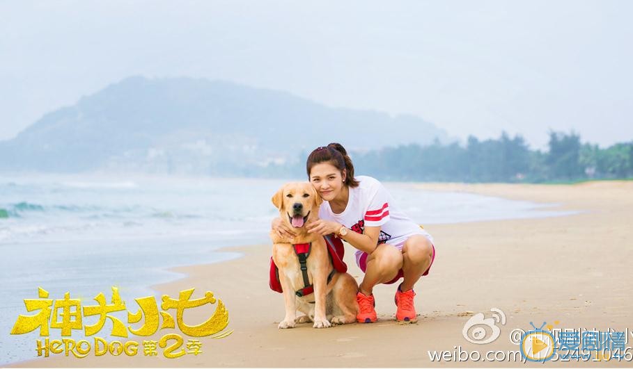 王洋《神犬小七2》剧照 王洋高清写真_王洋高清剧照