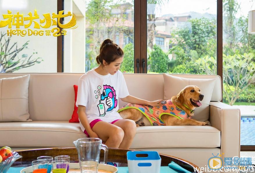 王洋《神犬小七2》剧照 王洋高清写真_王洋高清剧照