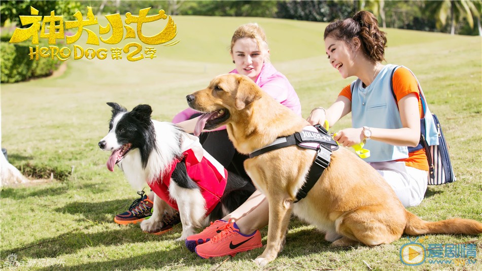 王洋《神犬小七2》剧照 王洋高清写真_王洋高清剧照