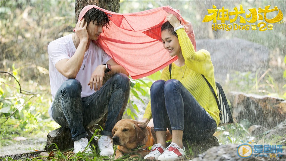 王洋《神犬小七2》剧照 王洋高清写真_王洋高清剧照