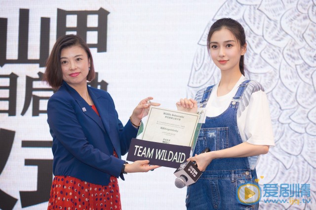 杨颖公益活动照 杨颖高清写真_杨颖高清剧照