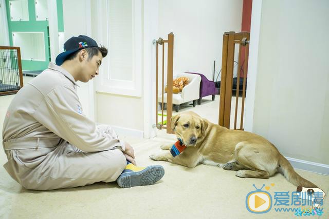 金世佳《神犬小七1》剧照 金世佳高清写真_金世佳高清剧照
