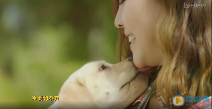 QQ截图20160716100052