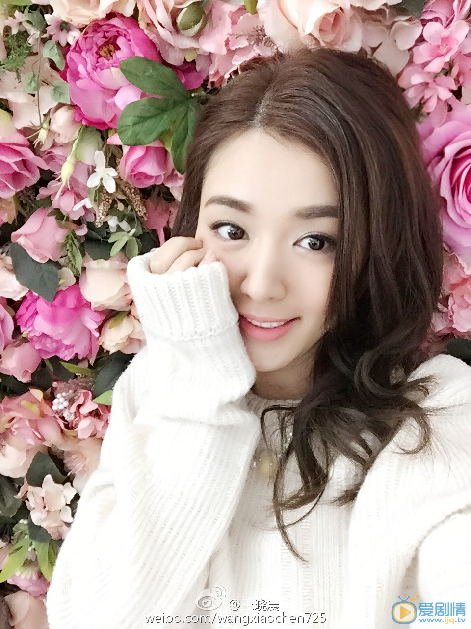 王晓晨卖萌照 王晓晨高清写真_王晓晨高清剧照