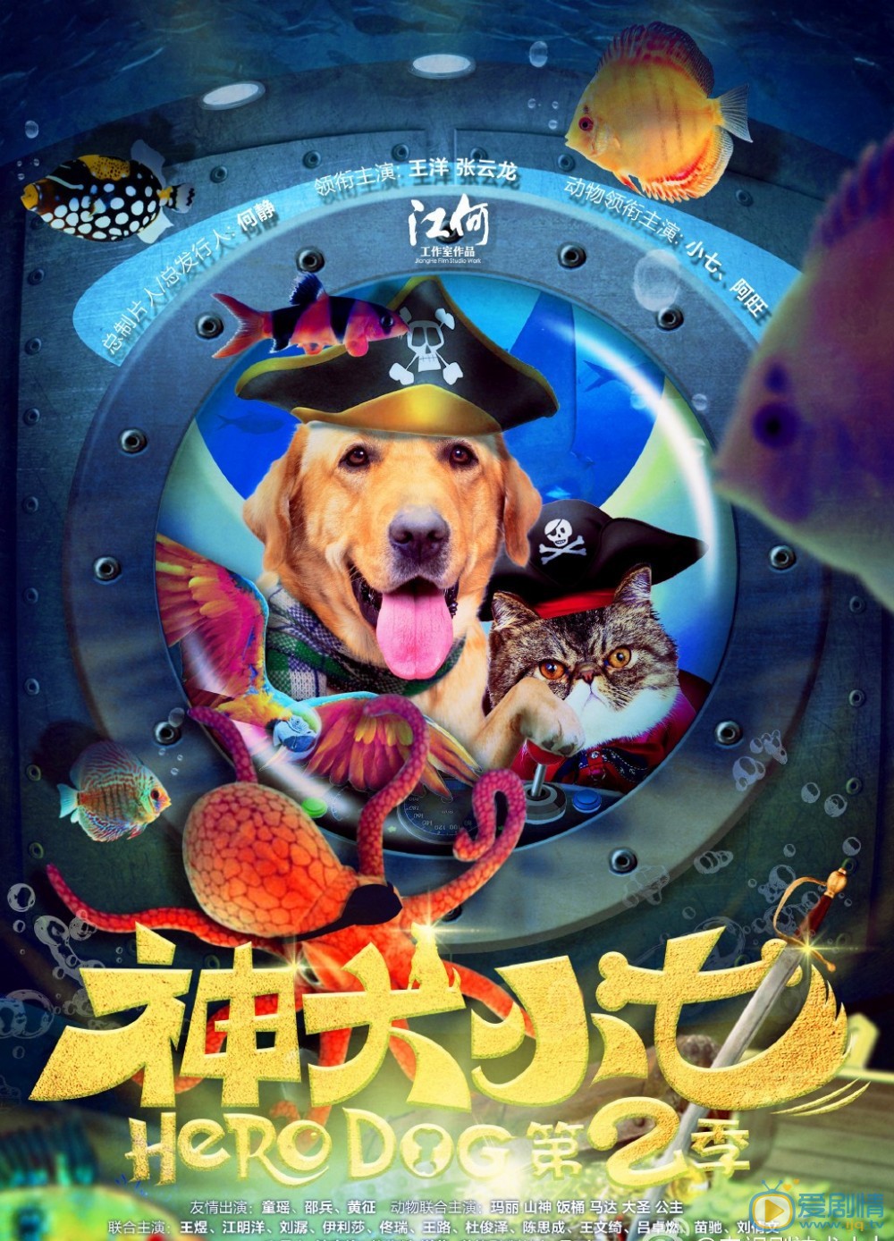 神犬小七第二季中小七扮演者拉布拉多高清剧照