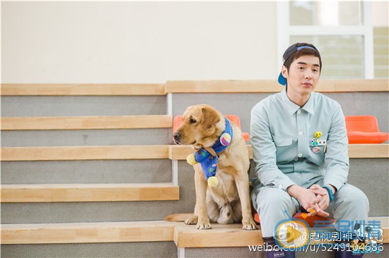 拉布拉多犬小七神犬小七第一季剧照 拉布拉多犬小七高清写真_拉布拉多犬小七高清剧照